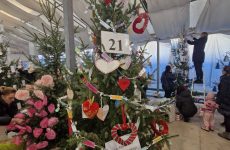 Więcej o: 21! To numer naszej wieczernikowej choinki 🎄