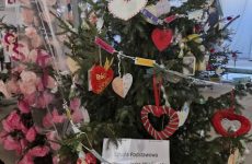 Więcej o: Finał Konkursu na Wieczernikową Choinkę