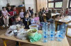 Więcej o: Woda to skarb – uczniowie poznają tajniki jej oczyszczania 💦